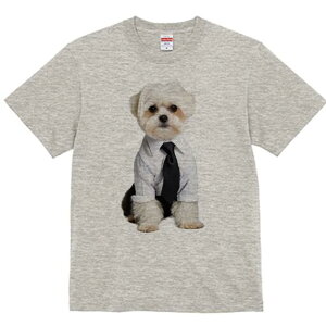 }`[Y TVc fB[X t@  t  vg JWA 킢 lԗp h ̃fUC ʔ Vc }`[Y lN^C