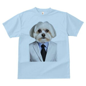 }`[Y TVc fB[X t@  t  vg JWA 킢 lԗp h ̃fUC ʔ X[c }`[Y lN^C CVc