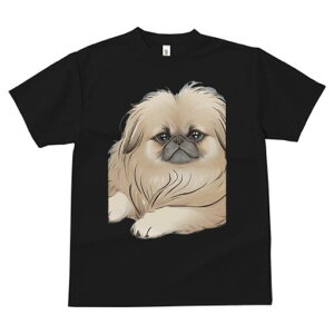 yLj[Y TVc fB[X t@  t  vg JWA 킢 lԗp h ̃fUC ʔ yLj[Y