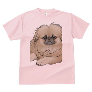 yLj[Y TVc fB[X t@  t  vg JWA 킢 lԗp h ̃fUC ʔ yLj[Y