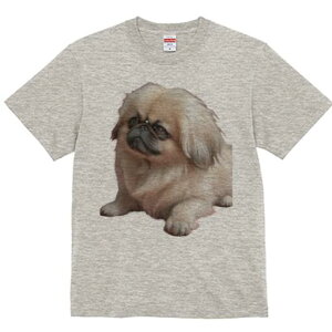 yLj[Y TVc fB[X t@  t  vg JWA 킢 lԗp h ̃fUC ʔ yLj[Y