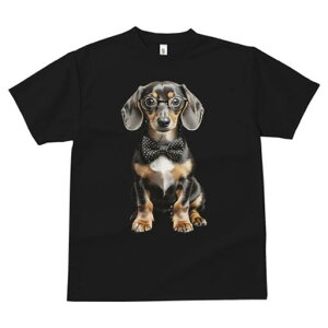 _bNXth TVc fB[X t@  t  vg JWA 킢 lԗp h ̃fUC ʔ lN^C _bNXth ዾ