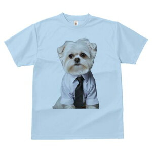 }`[Y TVc fB[X t@  t  vg JWA 킢 lԗp h ̃fUC ʔ CVc }`[Y lN^C