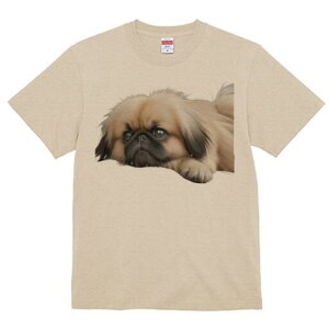 yLj[Y TVc fB[X t@  t  vg JWA 킢 lԗp h ̃fUC ʔ yLj[Y