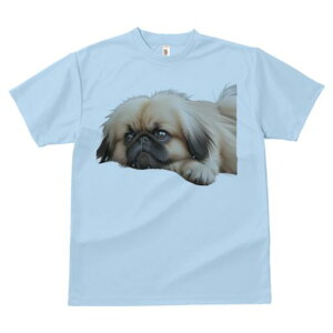 yLj[Y TVc fB[X t@  t  vg JWA 킢 lԗp h ̃fUC ʔ yLj[Y