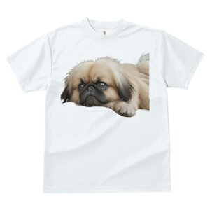 yLj[Y TVc fB[X t@  t  vg JWA 킢 lԗp h ̃fUC ʔ yLj[Y