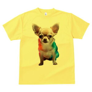 ` TVc fB[X t@  t  vg JWA 킢 lԗp h ̃fUC ʔ TVc `