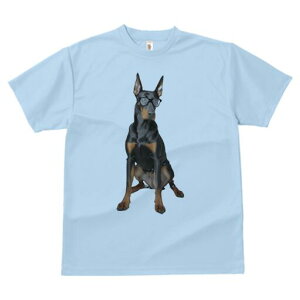 h[x} TVc Y LbY t@  t  vg JWA 킢 lԗp h ̃fUC ʔ Kl h[x} mI 낢