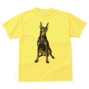 h[x} TVc Y LbY t@  t  vg JWA 킢 lԗp h ̃fUC ʔ Kl h[x} mI 낢