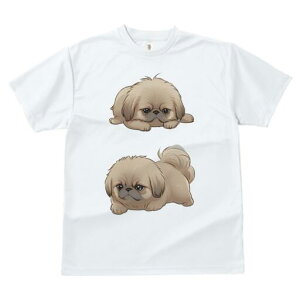 yLj[Y TVc fB[X t@  t  vg JWA 킢 lԗp h ̃fUC ʔ yLj[Y