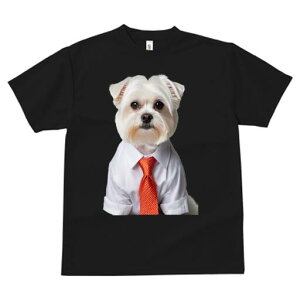 }`[Y TVc fB[X t@  t  vg JWA 킢 lԗp h ̃fUC ʔ CVc }`[Y lN^C