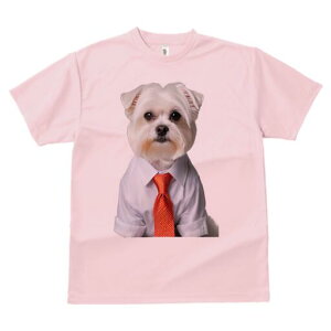 }`[Y TVc fB[X t@  t  vg JWA 킢 lԗp h ̃fUC ʔ CVc }`[Y lN^C