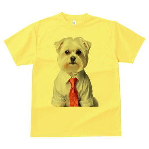 }`[Y TVc fB[X t@  t  vg JWA 킢 lԗp h ̃fUC ʔ CVc }`[Y lN^C