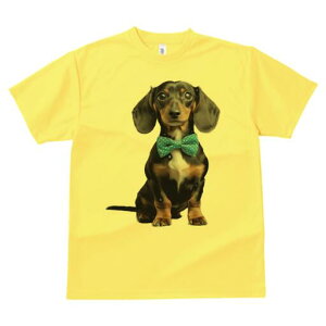 _bNXth TVc fB[X t@  t  vg JWA 킢 lԗp h ̃fUC ʔ lN^C _bNXth