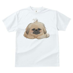 yLj[Y TVc fB[X t@  t  vg JWA 킢 lԗp h ̃fUC ʔ 킢 yLj[Y L[g  ybg