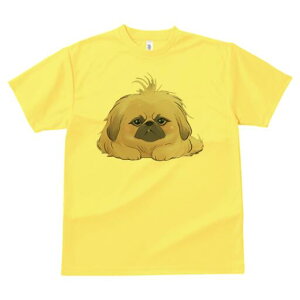 yLj[Y TVc fB[X t@  t  vg JWA 킢 lԗp h ̃fUC ʔ 킢 yLj[Y L[g  ybg