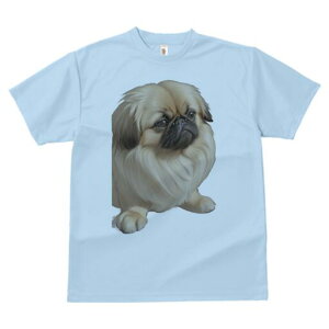 yLj[Y TVc fB[X t@  t  vg JWA 킢 lԗp h ̃fUC ʔ yLj[Y