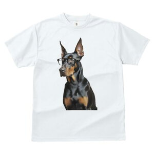 h[x} TVc fB[X t@  t  vg JWA 킢 lԗp h ̃fUC ʔ Kl h[x}