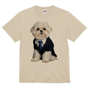 }`[Y TVc fB[X t@  t  vg JWA 킢 lԗp h ̃fUC ʔ X[c }`[Y lN^C rWlX