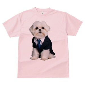 }`[Y TVc fB[X t@  t  vg JWA 킢 lԗp h ̃fUC ʔ X[c }`[Y lN^C rWlX