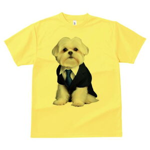 }`[Y TVc fB[X t@  t  vg JWA 킢 lԗp h ̃fUC ʔ X[c }`[Y lN^C rWlX