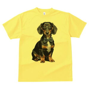 _bNXth TVc fB[X t@  t  vg JWA 킢 lԗp h ̃fUC ʔ lN^C _bNXth