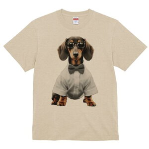 _bNXth TVc fB[X t@  t  vg JWA 킢 lԗp h ̃fUC ʔ Vc _bNXth lN^C Kl