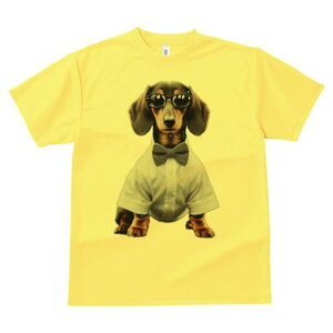 _bNXth TVc Y LbY t@  t  vg JWA 킢 lԗp h ̃fUC ʔ Vc _bNXth lN^C Kl