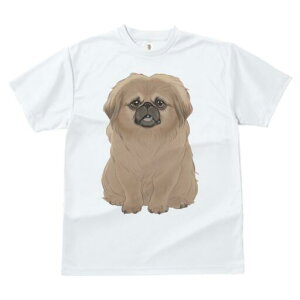 yLj[Y TVc fB[X t@  t  vg JWA 킢 lԗp h ̃fUC ʔ TVc yLj[Y 킢 ybg 