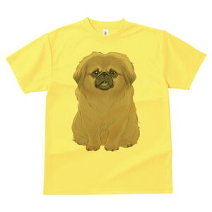 yLj[Y TVc fB[X t@  t  vg JWA 킢 lԗp h ̃fUC ʔ TVc yLj[Y 킢 ybg 