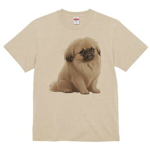 yLj[Y TVc fB[X t@  t  vg JWA 킢 lԗp h ̃fUC ʔ yLj[Y