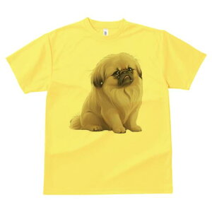 yLj[Y TVc fB[X t@  t  vg JWA 킢 lԗp h ̃fUC ʔ yLj[Y