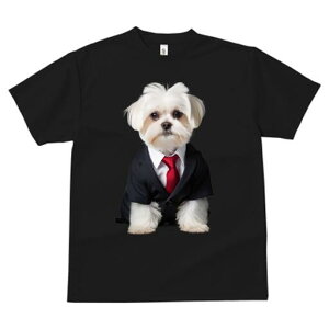 }`[Y TVc fB[X t@  t  vg JWA 킢 lԗp h ̃fUC ʔ X[c }`[Y lN^C