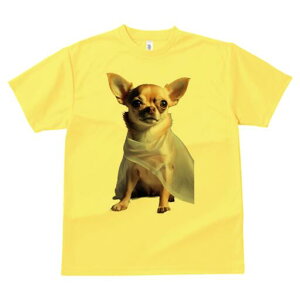 ` TVc fB[X t@  t  vg JWA 킢 lԗp h ̃fUC ʔ wi ` XJ[t