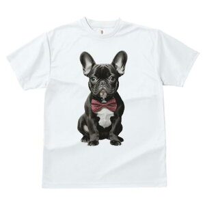 t`uhbO TVc fB[X t@  t  vg JWA 킢 lԗp h ̃fUC ʔ lN^C t`uhbO