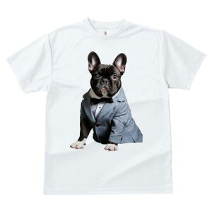 t`uhbO TVc fB[X t@  t  vg JWA 킢 lԗp h ̃fUC ʔ X[c t`uhbO lN^C