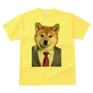 Č TVc fB[X t@  t  vg JWA 킢 lԗp h ̃fUC ʔ X[c Č lN^C CVc