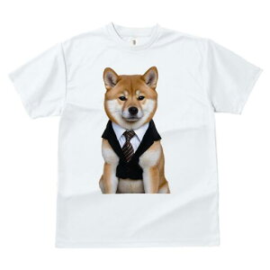 Č TVc fB[X t@  t  vg JWA 킢 lԗp h ̃fUC ʔ X[c Č lN^C