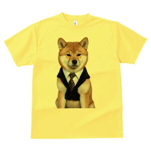 Č TVc fB[X t@  t  vg JWA 킢 lԗp h ̃fUC ʔ X[c Č lN^C