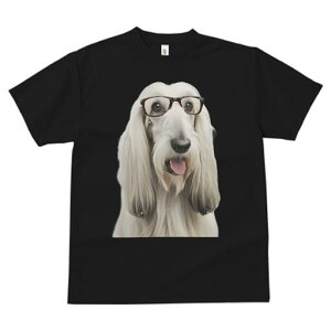 AtKnEh TVc fB[X t@  t  vg JWA 킢 lԗp h ̃fUC ʔ Kl AtKnEh