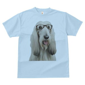 AtKnEh TVc fB[X t@  t  vg JWA 킢 lԗp h ̃fUC ʔ Kl AtKnEh