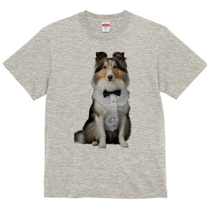 VFbghV[vhbO TVc fB[X t@  t  vg JWA 킢 lԗp h ̃fUC ʔ lN^C VFbghV[vhbO 