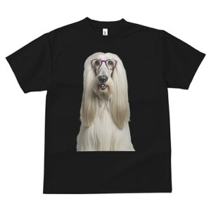 AtKnEh TVc fB[X t@  t  vg JWA 킢 lԗp h ̃fUC ʔ Kl AtKnEh