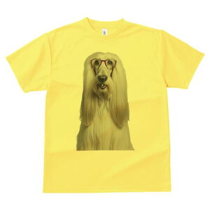 AtKnEh TVc Y LbY t@  t  vg JWA 킢 lԗp h ̃fUC ʔ Kl AtKnEh