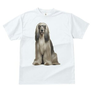 AtKnEh TVc fB[X t@  t  vg JWA 킢 lԗp h ̃fUC ʔ Kl AtKnEh