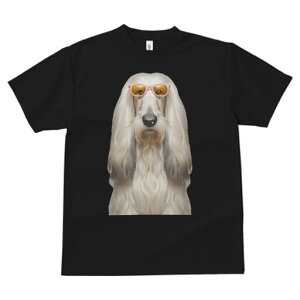 AtKnEh TVc fB[X t@  t  vg JWA 킢 lԗp h ̃fUC ʔ TOX AtKnEh