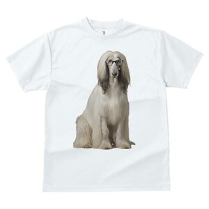 AtKnEh TVc fB[X t@  t  vg JWA 킢 lԗp h ̃fUC ʔ Kl AtKnEh