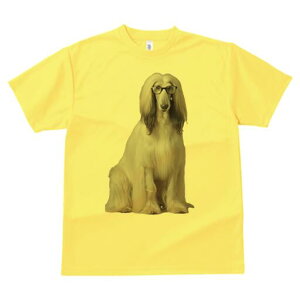 AtKnEh TVc fB[X t@  t  vg JWA 킢 lԗp h ̃fUC ʔ Kl AtKnEh