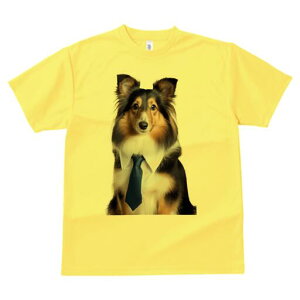 VFbghV[vhbO TVc fB[X t@  t  vg JWA 킢 lԗp h ̃fUC ʔ lN^C VFbghV[vhbO 