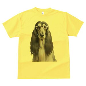 AtKnEh TVc fB[X t@  t  vg JWA 킢 lԗp h ̃fUC ʔ Kl AtKnEh 